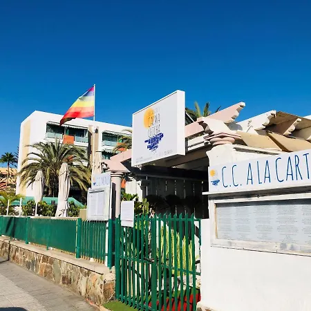 Palm Trees View Of The Dunes Playa del Inglés
