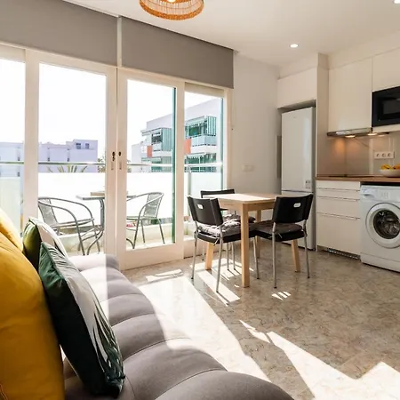 Palm Trees View Of The Dunes