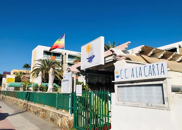Palm Trees View Of The Dunes Playa del Inglés