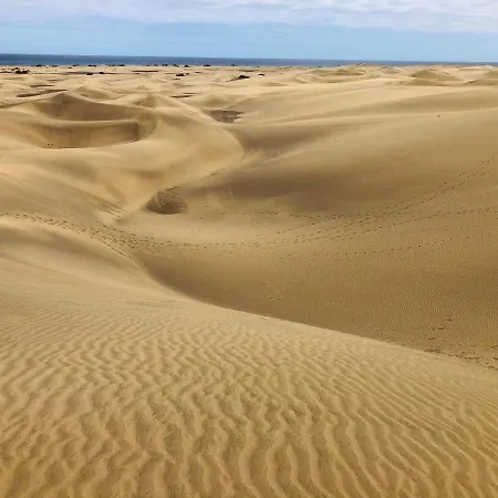 Palm Trees View Of The Dunes Апартаменти