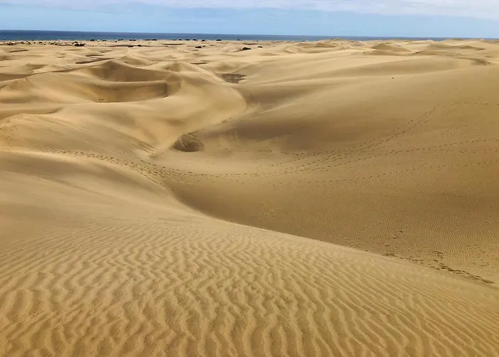 Palm Trees View Of The Dunes Апартаменти